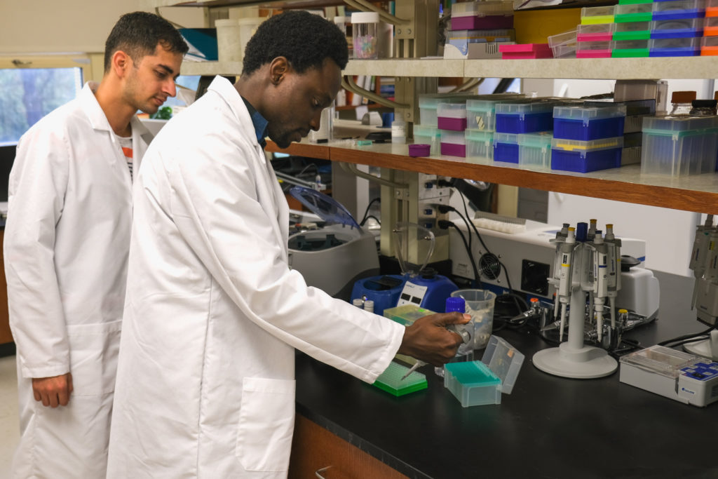two FSU students in lab coats work with pipettes